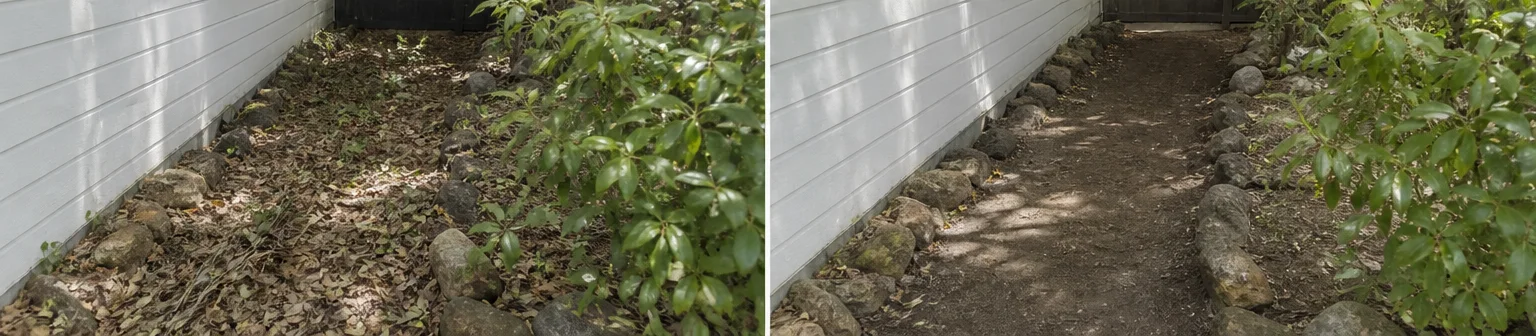 Three visual before-and-after examples of yard waste removal, example 3